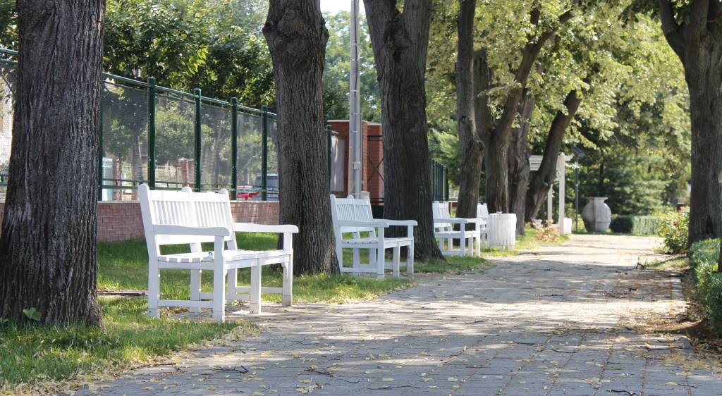 O alee liniştită în parc, Duminica