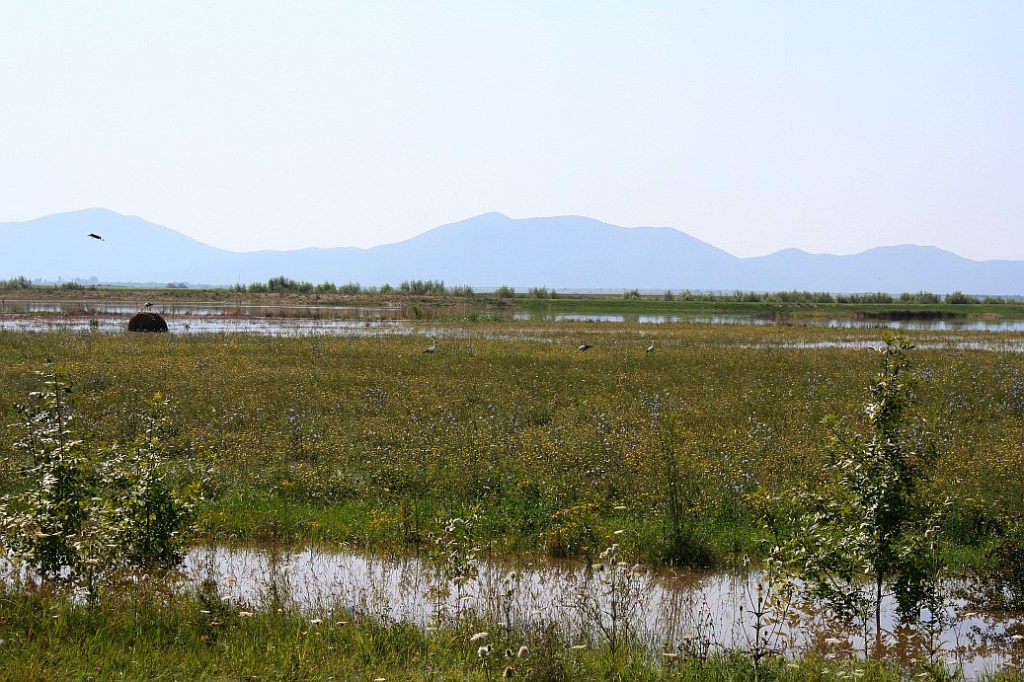 Se ghicesc Muntii Aninei in zapuseala amiezii / Mountains in the noon haze