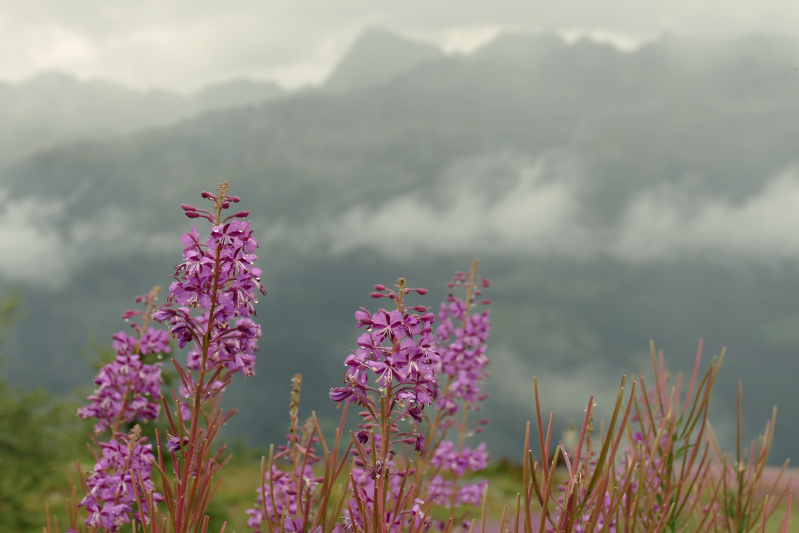 Cloudy afternoon above Grimentz, Valais