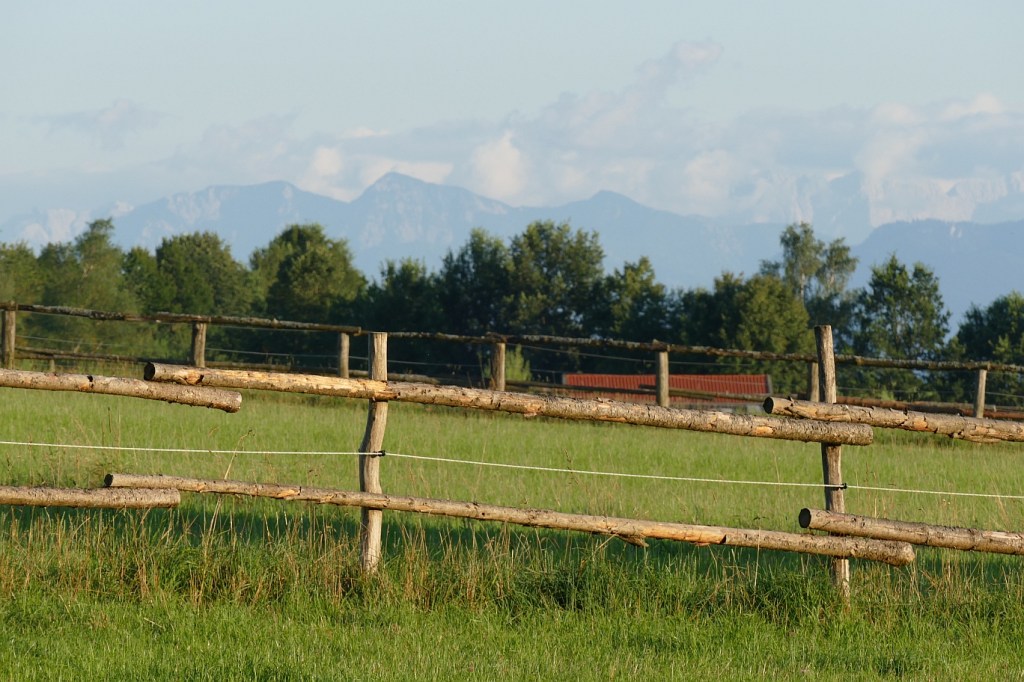 P1010070_small - Copy