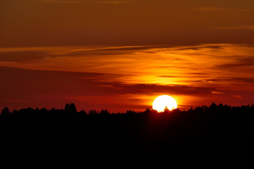 P1010088_small - Copy