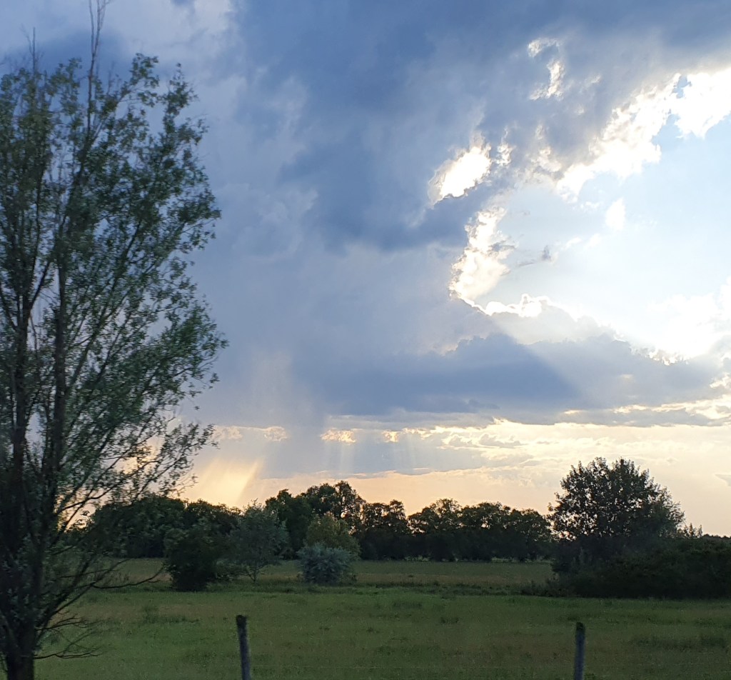 11 million electric&nbsp;bikes